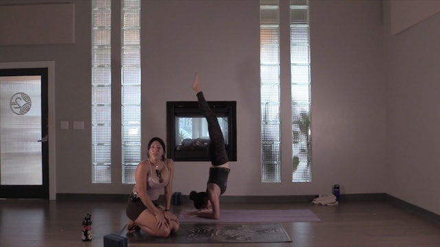 Anahata Flow- Vinyasa Yoga w/ Yvonne (Level 2/3)
