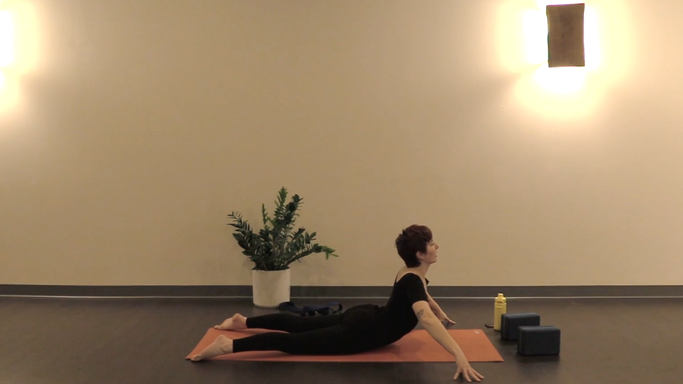 Slow Flow- Mobility Flow w/ Bekah (Level 1)