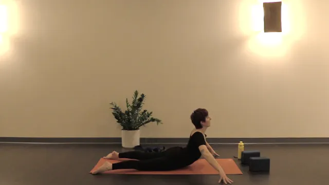 Slow Flow- Mobility Flow w/ Bekah (Le...