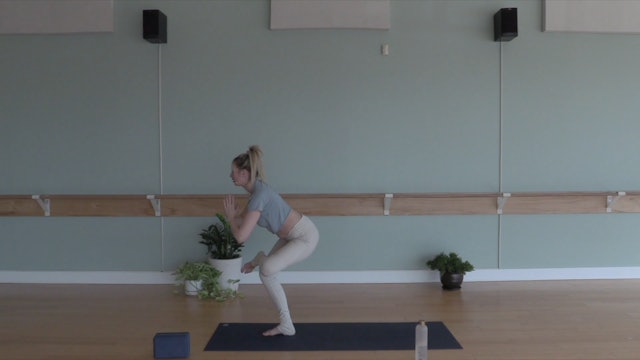Balance of the Mind and Body- Vinyasa Yoga w/ Andrea (Level 2)