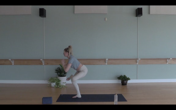 Balance of the Mind and Body- Vinyasa Yoga w/ Andrea (Level 2)