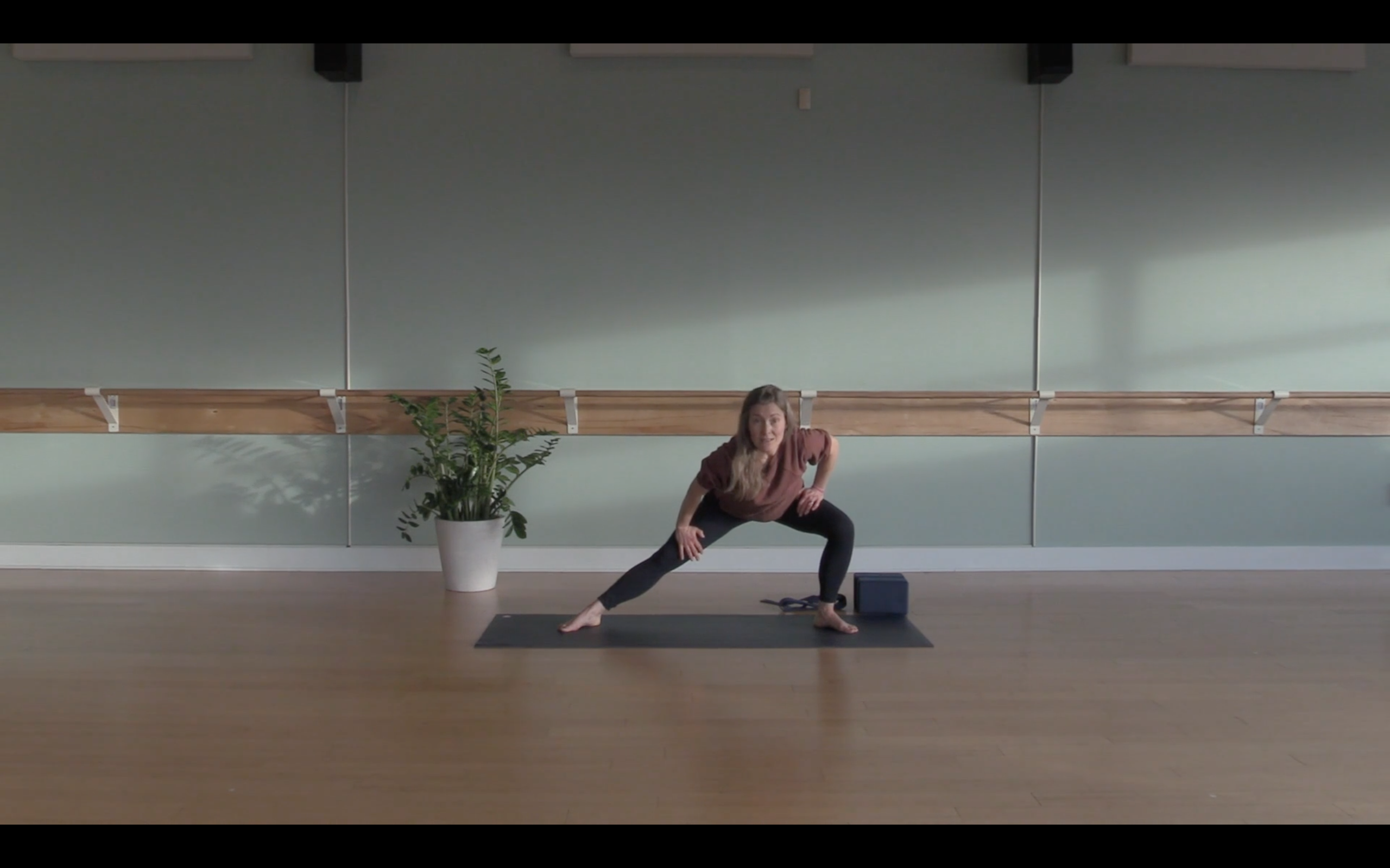 Mobility Yoga- w/ Laura (Level 1/2)