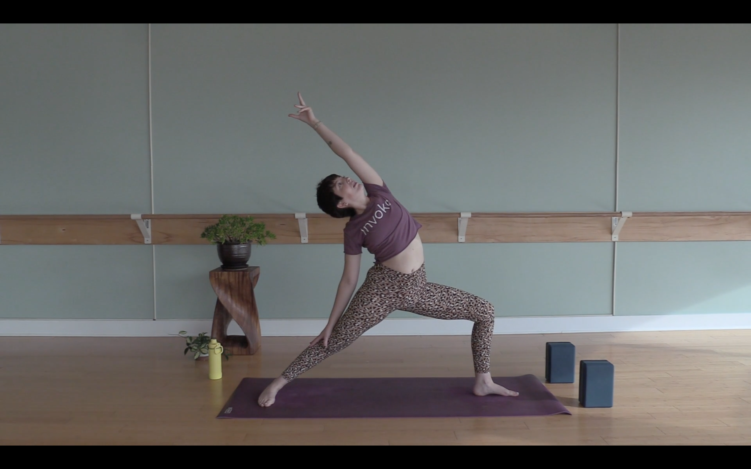 All Around Vinyasa Yoga w/ Bekah (Level 1)