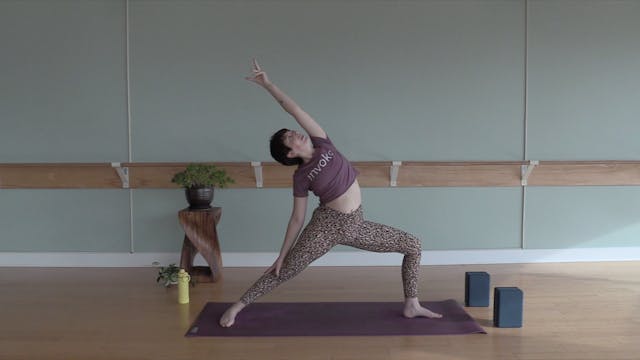 All Around Vinyasa Yoga w/ Bekah (Lev...