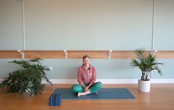 Yin Yoga w/ Allison (Level 1)