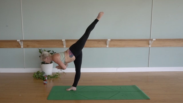 Harmony & Balance Flow- Vinyasa Yoga w/ Jill (Level 2/3)