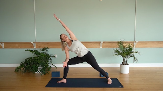 Side Angle Flow- Vinyasa Yoga w/ Ally (Level 1)