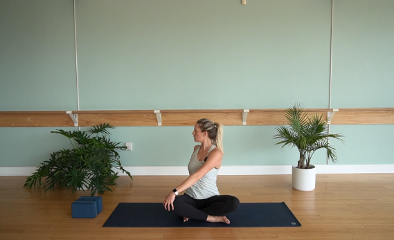 Twisty Spine- Vinyasa Yoga w/ Ally ( Level 1/2)