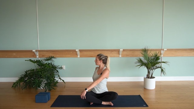Twisty Spine- Vinyasa Yoga w/ Ally ( Level 1/2)