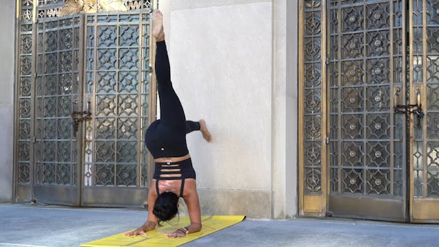 Forearm Stand- Yoga Inversion Practic...
