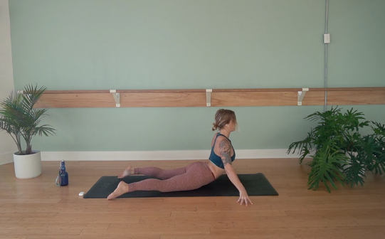 4th Chakra- Vinyasa Yoga w/ Megan Z. (Level 2)