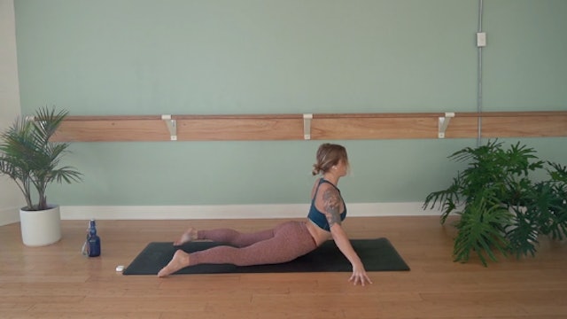 4th Chakra- Vinyasa Yoga w/ Megan Z. (Level 2)
