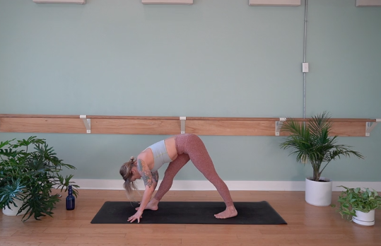 Throat Chakra- Vinyasa Yoga w/ Megan Z. (Level 2)