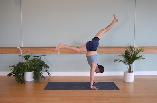 Handstand Primer- Inversion Yoga Practice w/ Todd (Level 2/3)