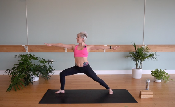 Creative Transitions- Vinyasa Yoga w/ Jill (Level 2)