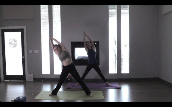 Funky Revolution- Vinyasa Yoga w/ Alexa H (Level 2)