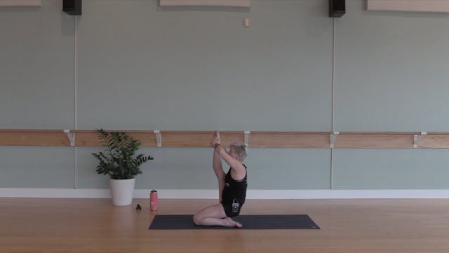 Bird Flow- Vinyasa Yoga w/ Jill (Level 2/3)