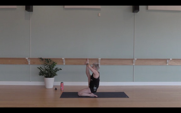Bird Flow- Vinyasa Yoga w/ Jill (Level 2/3)