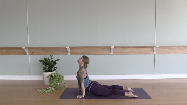 Mobile Spine & Hips- Vinyasa Yoga w/ Megan Z. (Level 2)