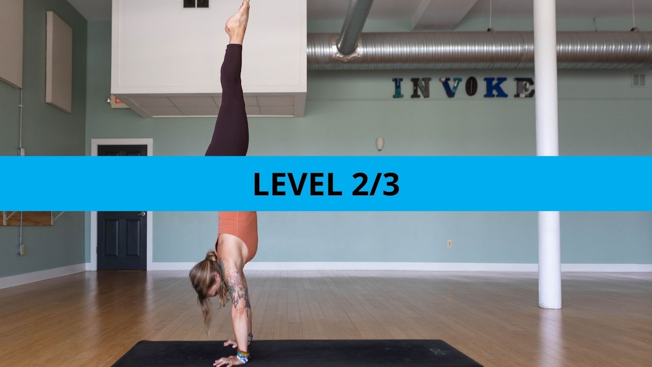 Level 2/3