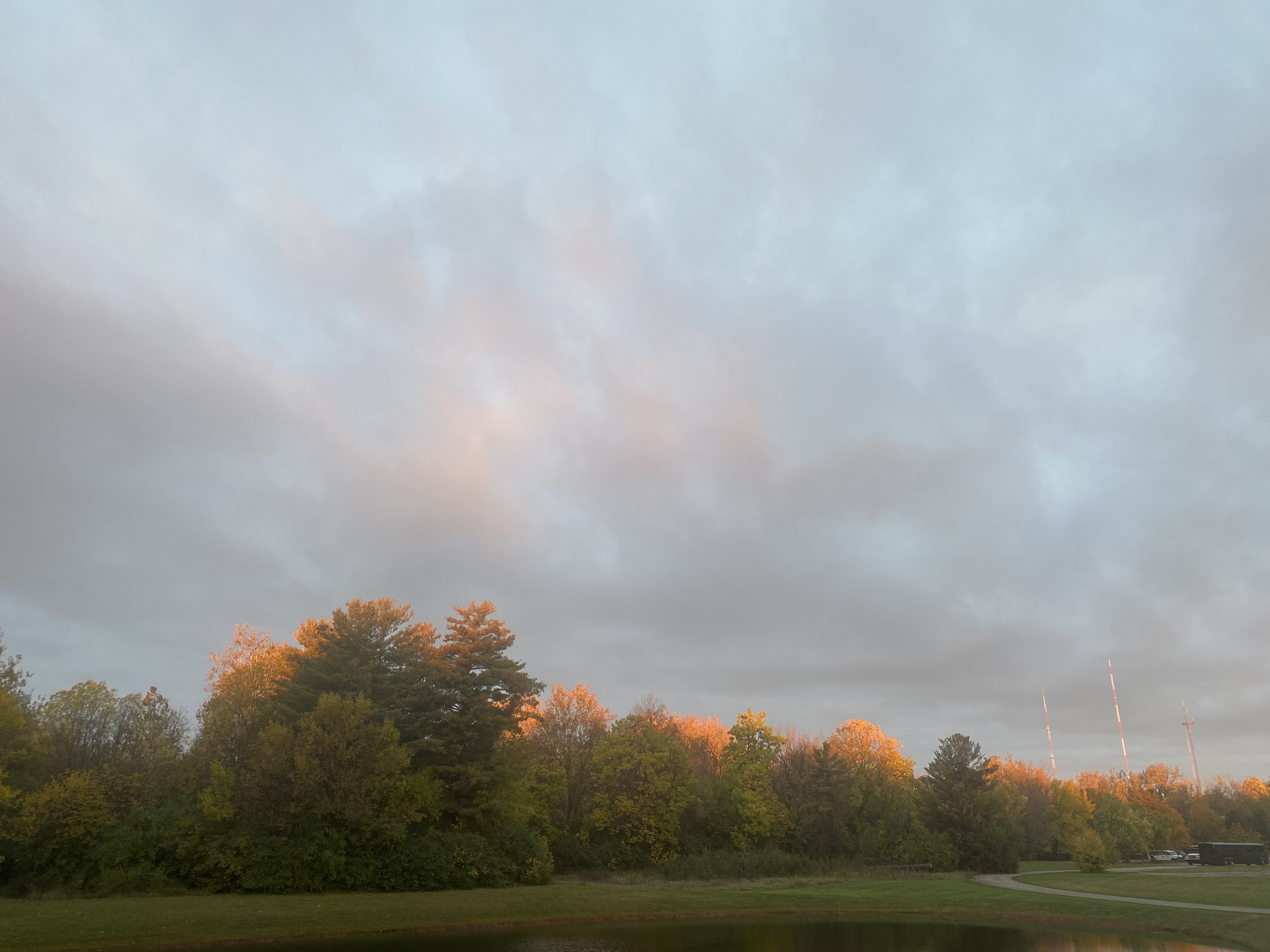 Autumnal Flow- Yin Yoga w/ Melissa (Level 1)