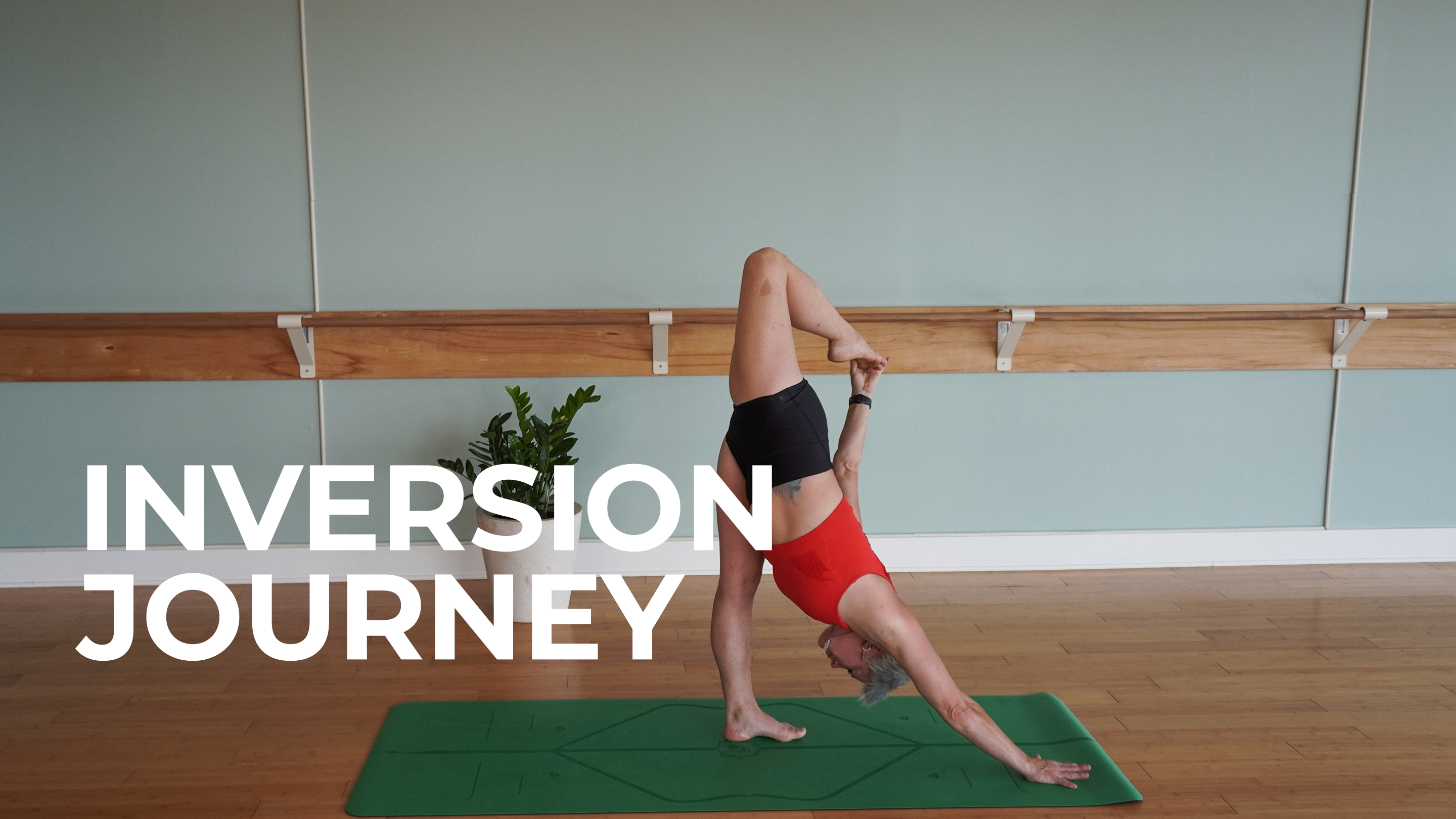 Inversion Journey