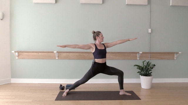 Slow & Steady- Vinyasa Flow w/ Stacey (Level 1/2)