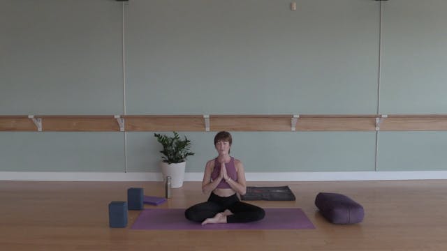 Intro to Yoga #1- Vinyasa Yoga w/ Bekah (Level 1)