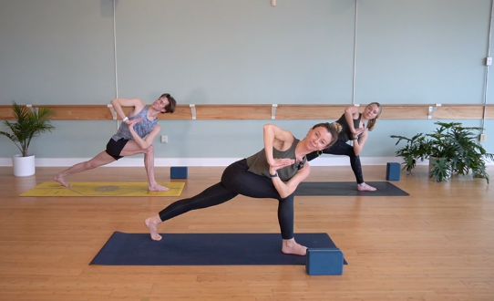 Twisty Flow- Vinyasa Yoga w/ Erin M. (Level 2)