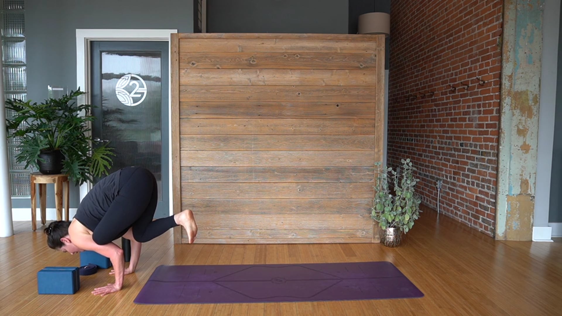 Binds and Arm Balances- Vinyasa Yoga w/ Erin E. (Level 2/3)