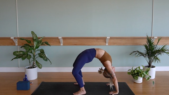 Backbends and Hamstrings w/ Megan (Level 2)