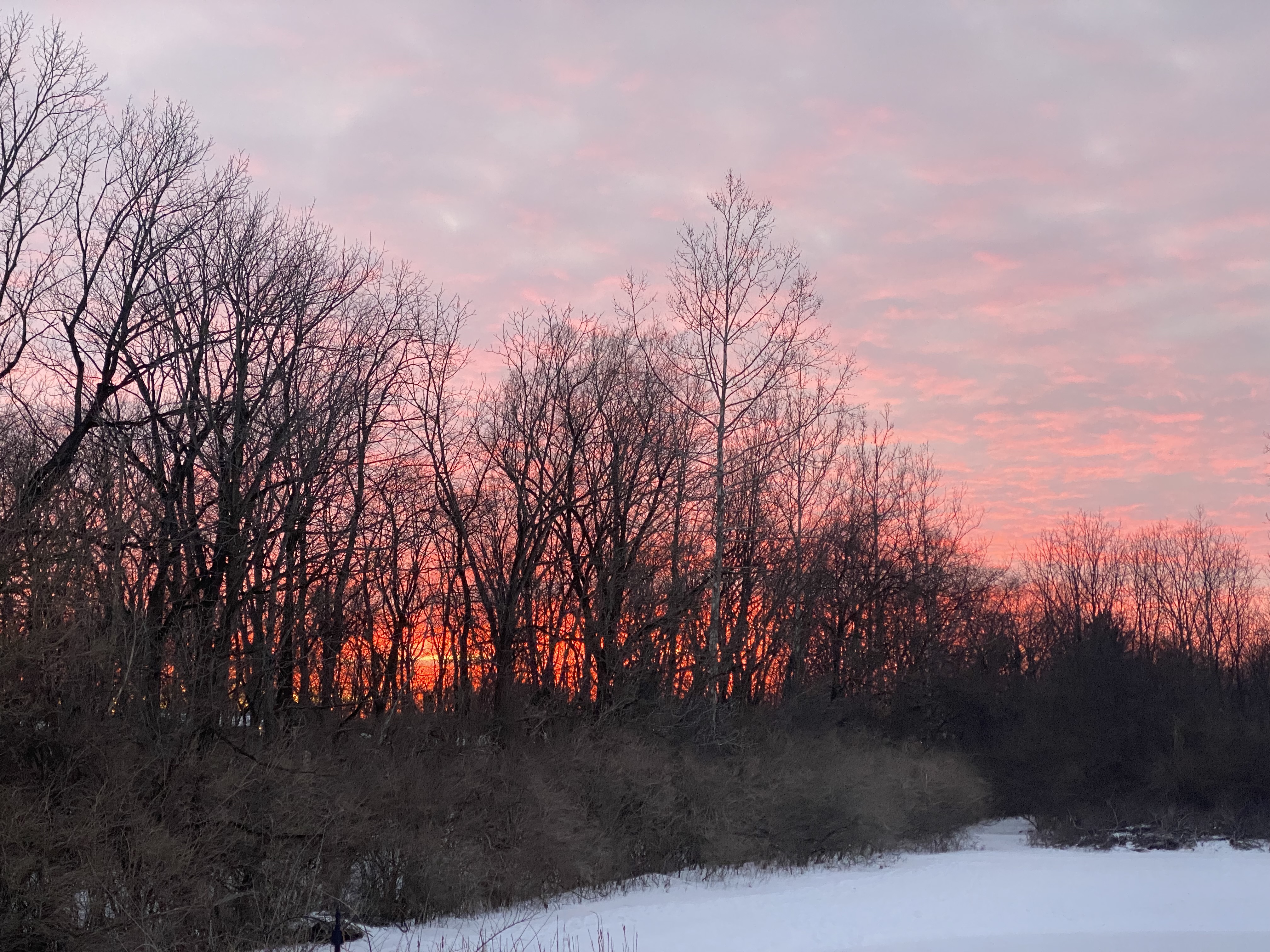 Grounding Meditation w/ Jill (All levels)