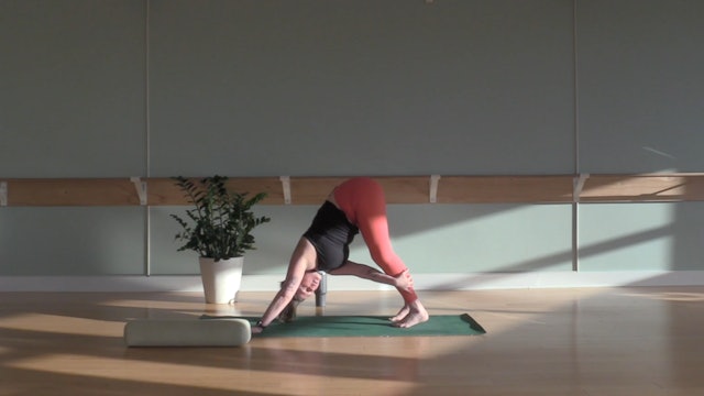 Morning Mobility- Vinyasa Yoga w/ Tess (Level 1/2)