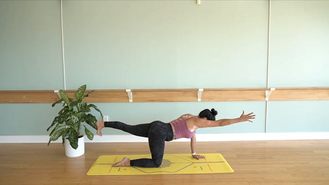 Beginners Vinyasa Yoga with Yvonne (Level 1)
