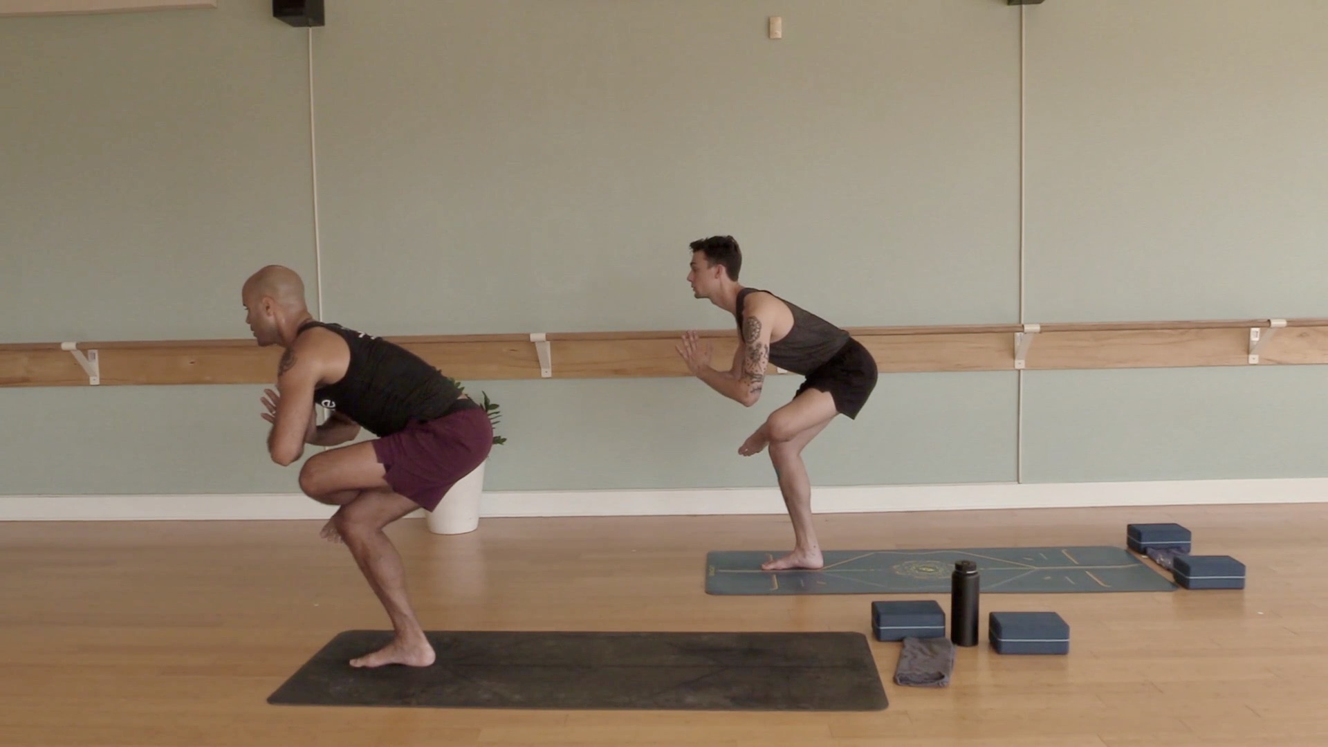 Bird of Paradise Flow- Vinyasa Yoga w/ Anthony (Level 2)