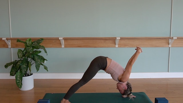 Arm Balancing & Binds- Vinyasa Yoga w/ Erin M. (Level 2/3)