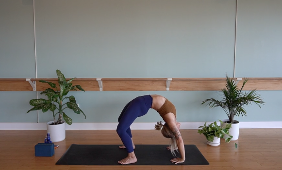 Backbends and Hamstrings- Vinyasa Yoga with Megan Z. (Level 2)