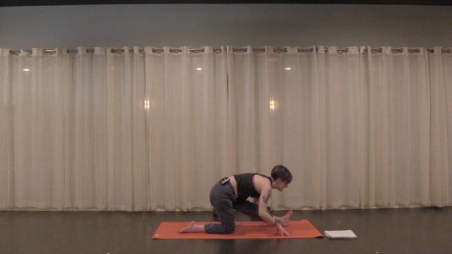 Mellow Flow- Vinyasa Yoga w/ Izzy (Level 1)