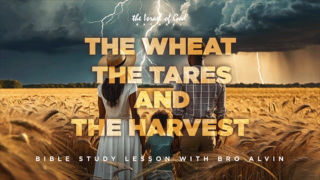 01272024 - IOG Bay Area - The Wheat, ...