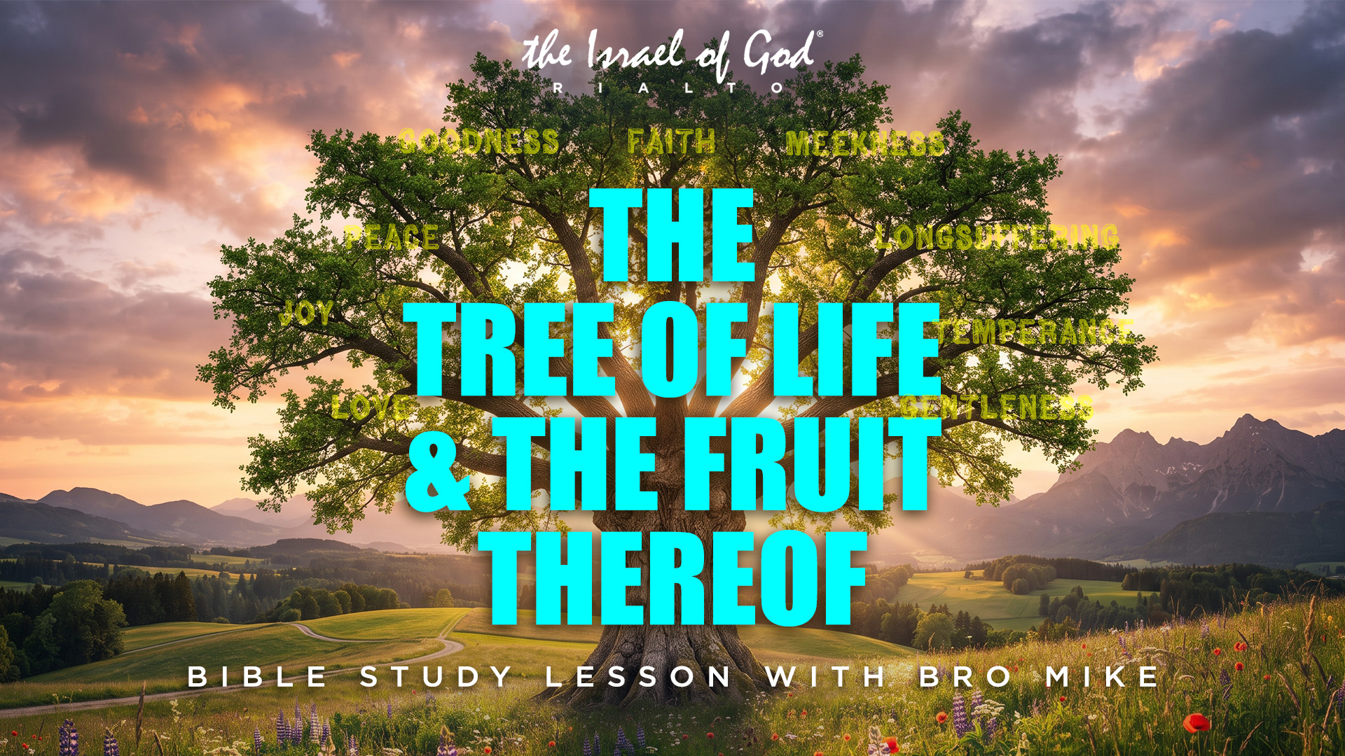 10102026 - IOG Rialto - The Tree of Life & The Fruit Thereof