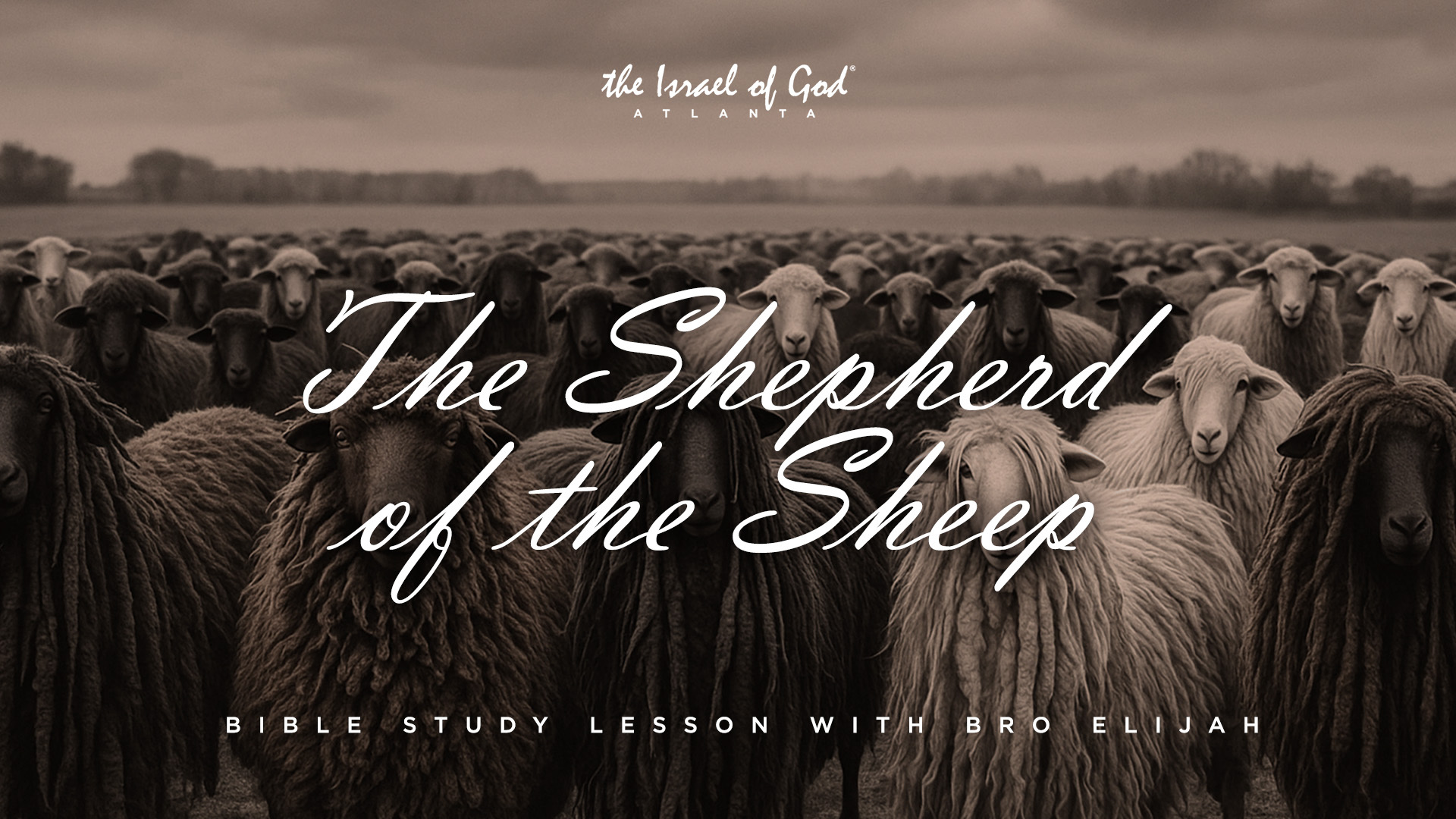11292025 - IOGATL - THE SHEPHERD OF THE SHEEP