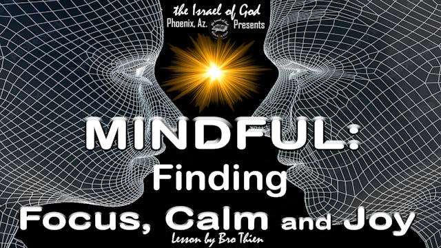 01292022 - IOG Phoenix - MINDFUL: Fin...