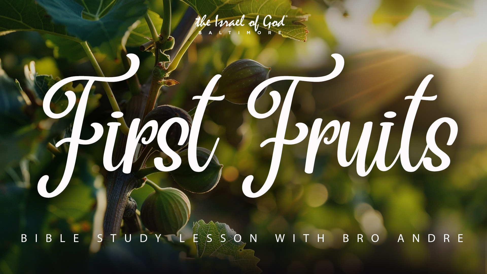 06152024 - IOG Baltimore - Understanding The First Fruits Of Pentecost