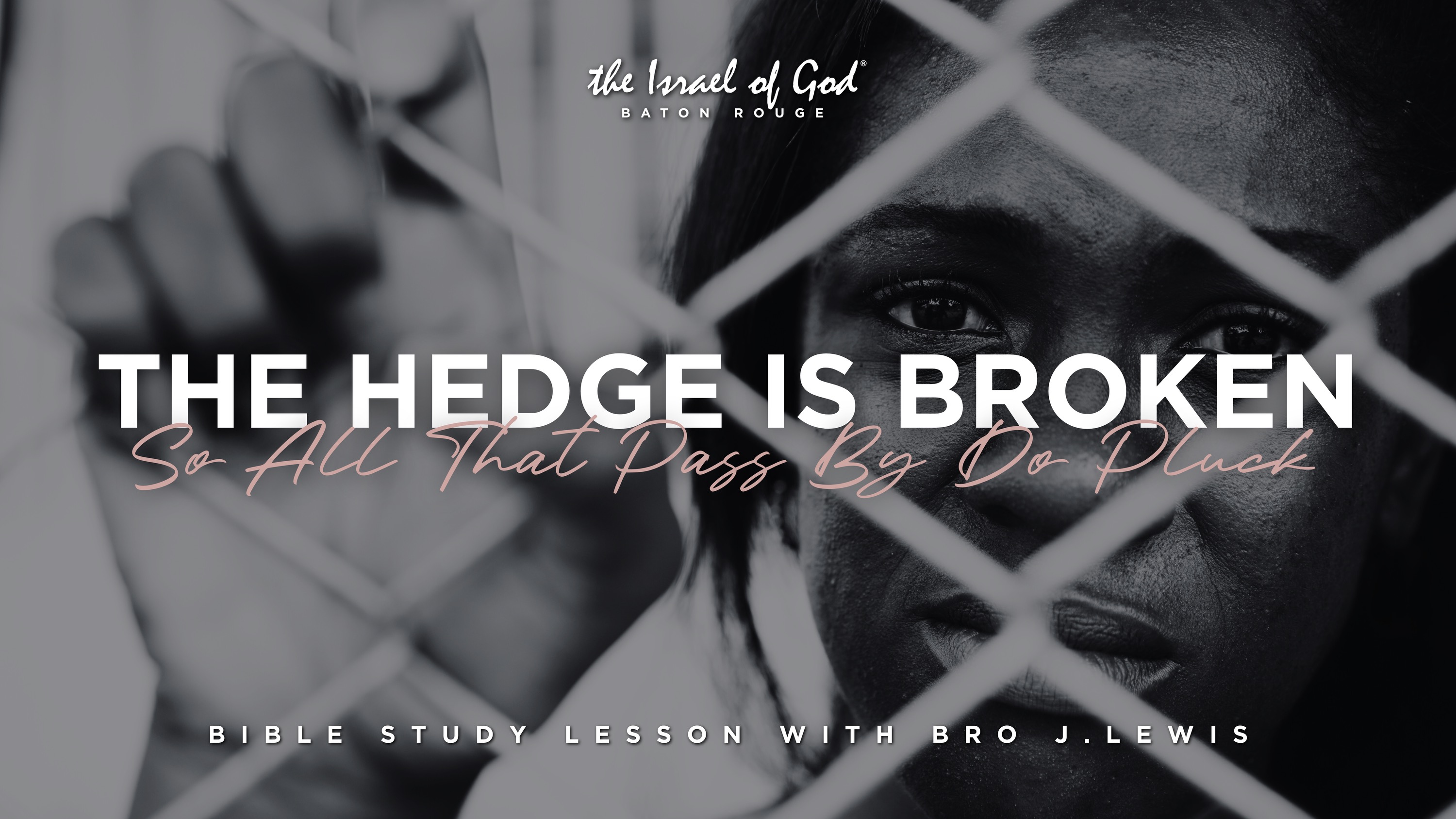 01182025 - IOG Baton Rouge - The Hedge Is Broken: So All That Pass By Do Pluck