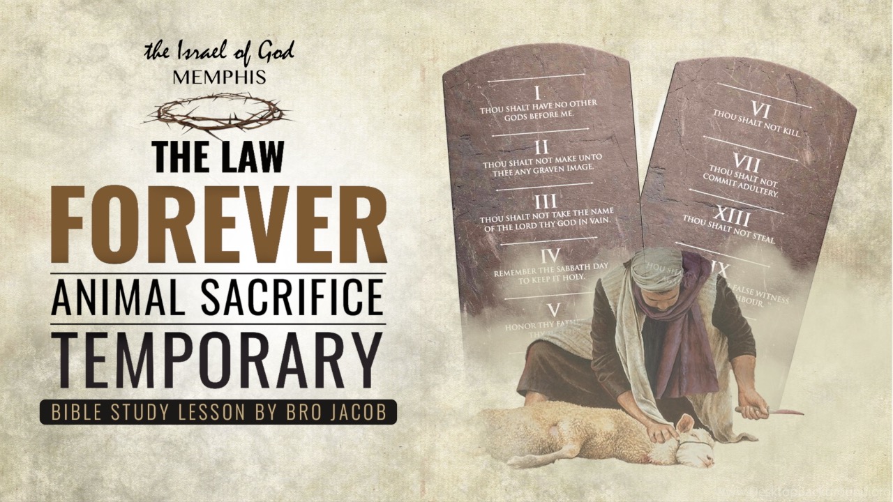 11262022 - IOG MEMPHIS - THE LAW FOREVER, ANIMAL SACRIFICE TEMPORARY