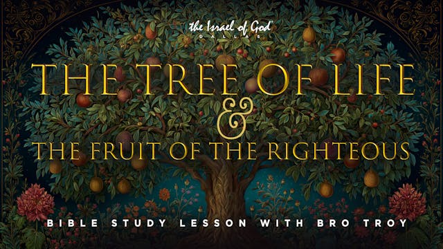 09132025 - IOG Dallas - The Tree of L...