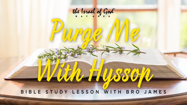 04112026 - IOG Bay Area - Purge Me With Hyssop
