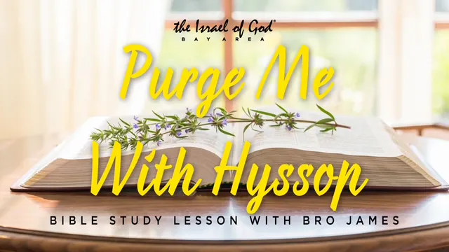 04112026 - IOG Bay Area - Purge Me Wi...