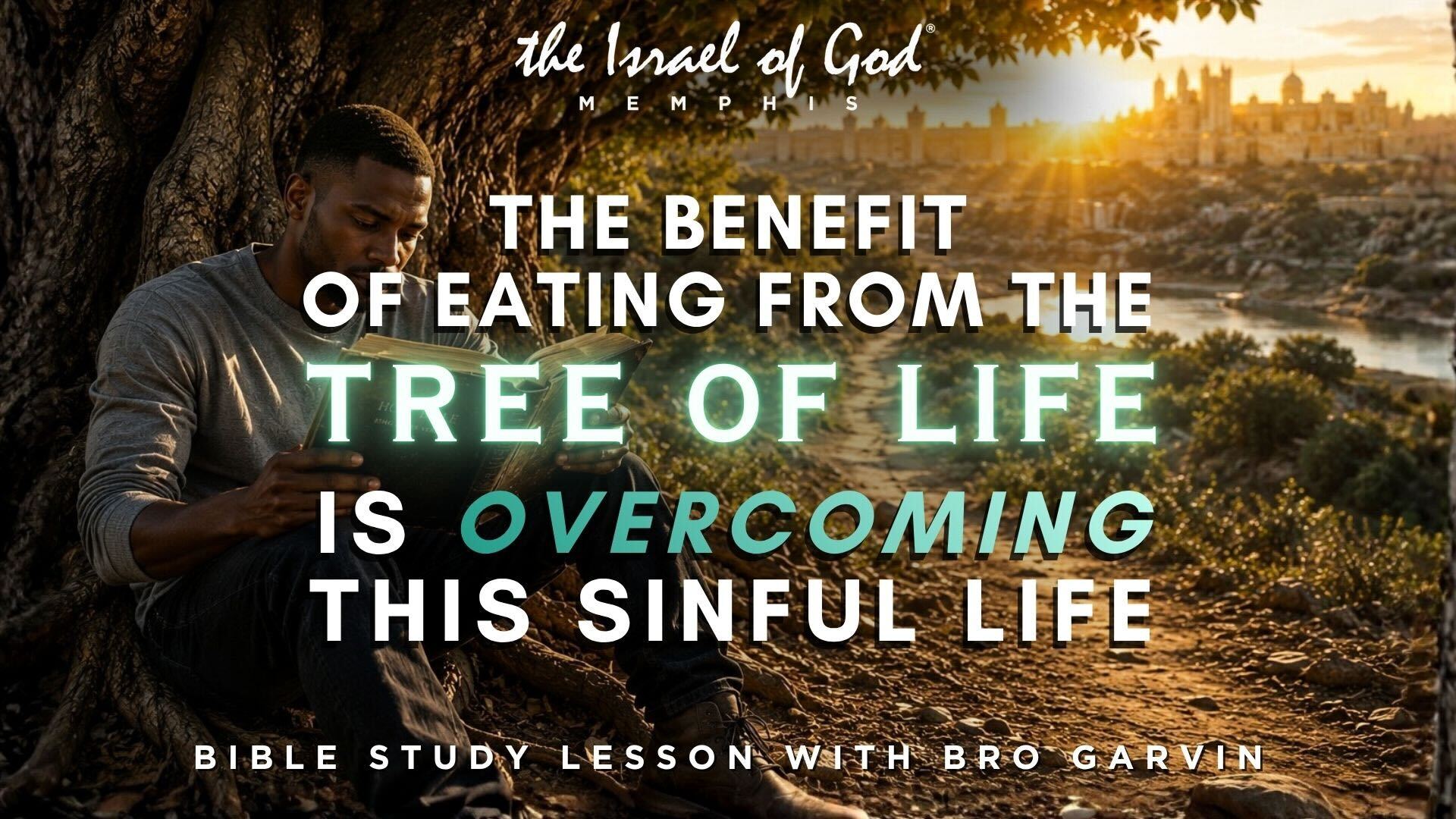05302026 - IOG Memphis - The Benefit Of Eating From The Tree Of Life Is ...