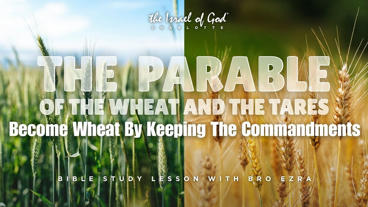 03142026 - IOG Charlotte - The Parable of the Wheat and  Tares: Become Wheat...